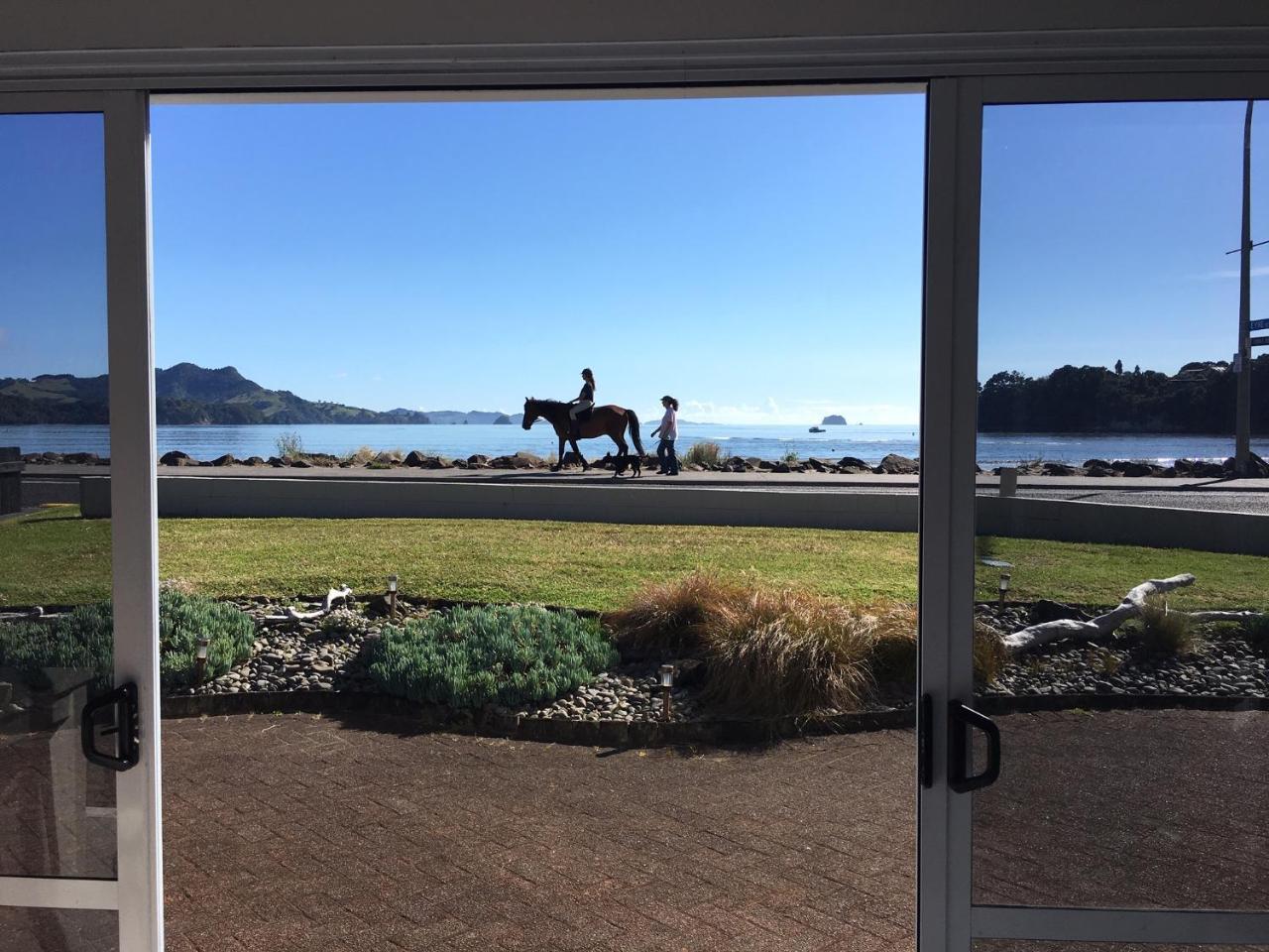 Waterfront Apartments Whitianga Exterior foto